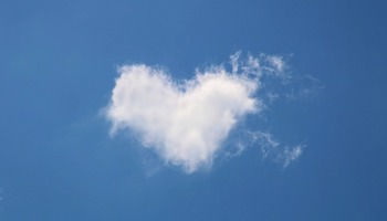 Energie update Witte Wind levenspad 12-24 september 2023: Met hart en ziel bijdragen